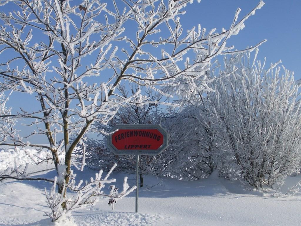 Ferienwohnung Lippert Pullenreuth 外观 照片